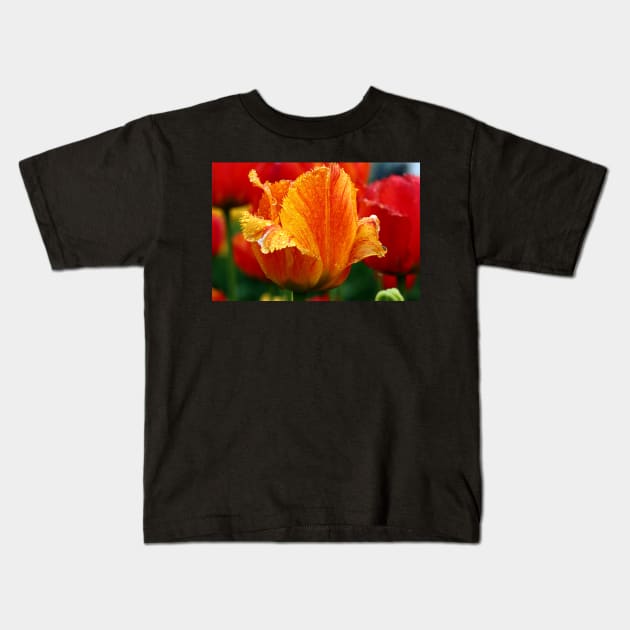 An Orange Tulip Kids T-Shirt by ikshvaku